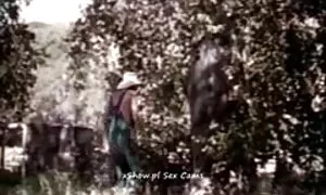 دمیدن در ﻿کانال تلگرامی داستان سکسی خارج از منزل